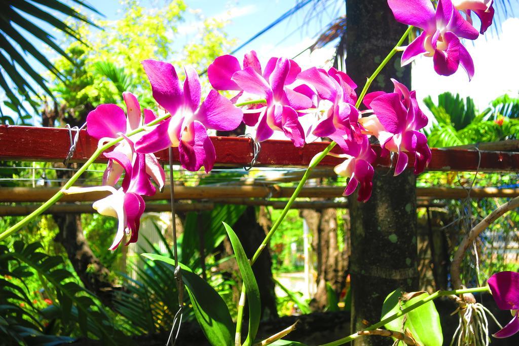 Kampot Guesthouse Kültér fotó